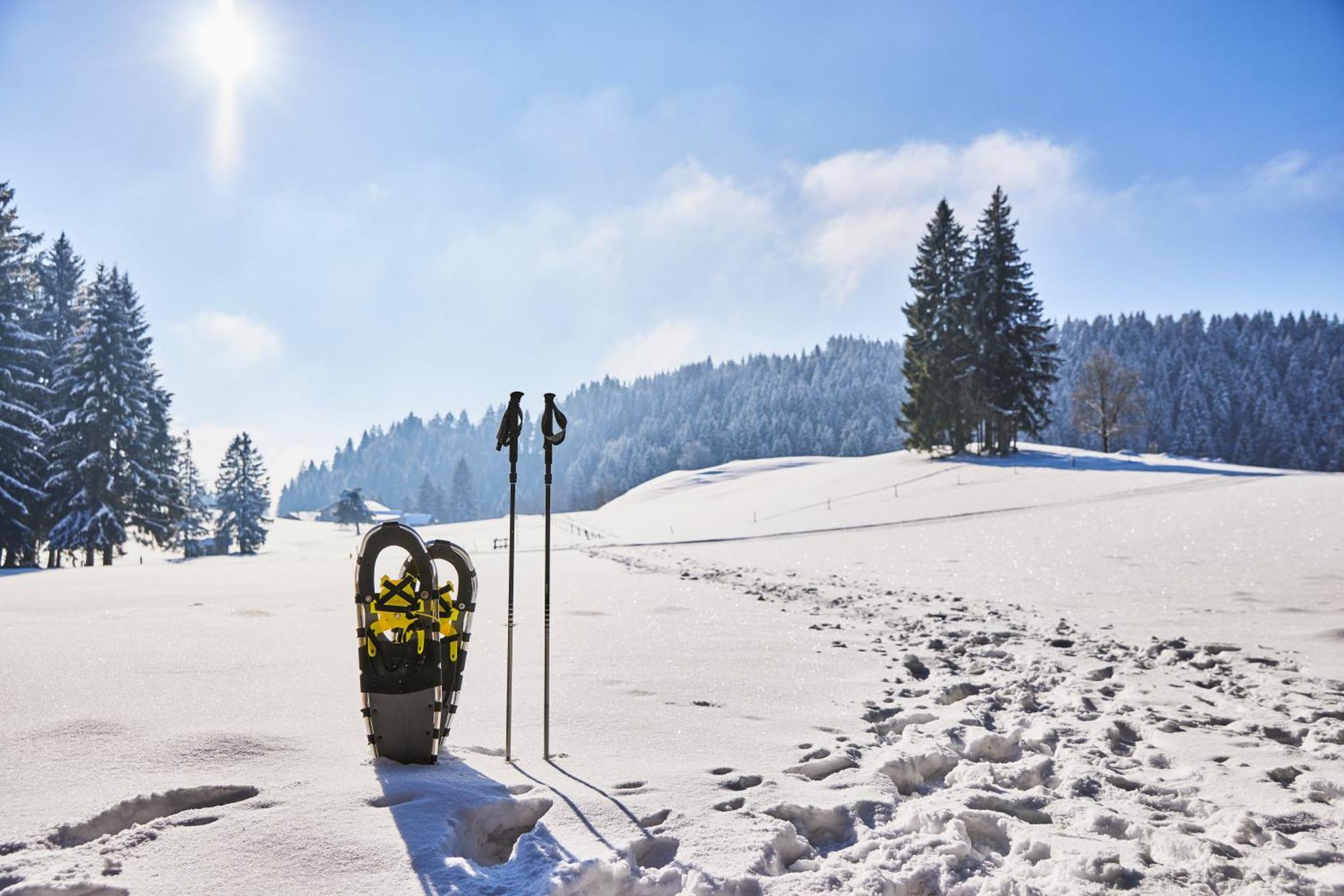 Hanusel Hof Wellness & Genuss In Panoramalage Hellengerst エクステリア 写真